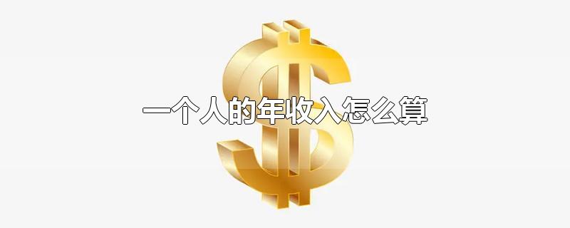 一个人的年收入怎么算