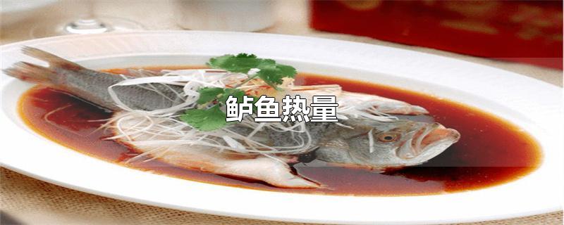 鲈鱼热量