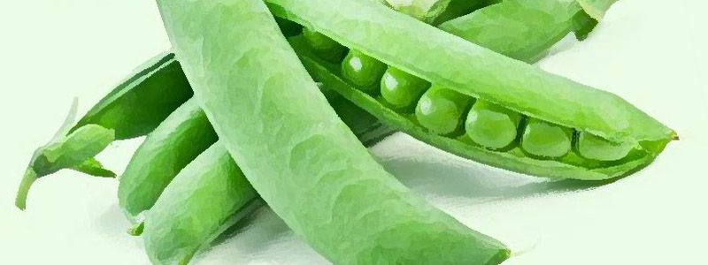 豌豆放冰箱怎么保存