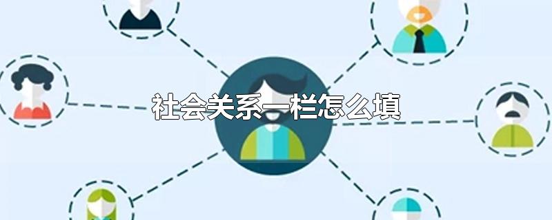 社会关系一栏怎么填