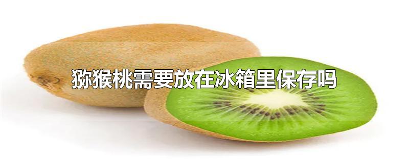 猕猴桃需要放在冰箱里保存吗