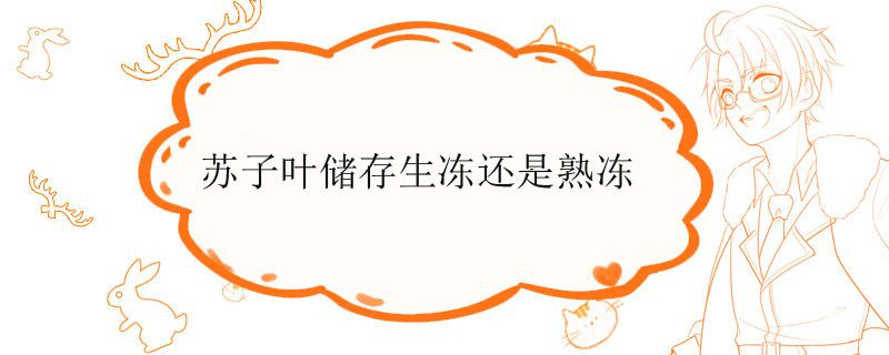 苏子叶储存生冻还是熟冻