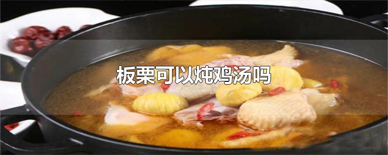 板栗可以炖鸡汤吗