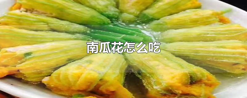 南瓜花怎么吃