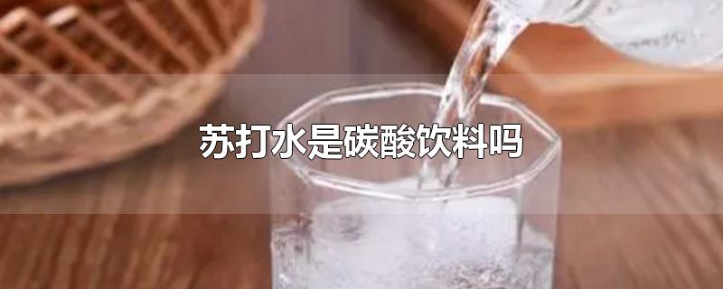 苏打水是碳酸饮料吗