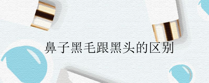 鼻子黑毛跟黑头的区别