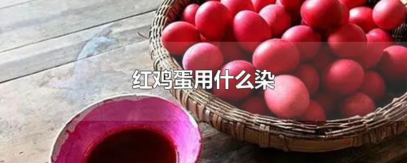 红鸡蛋用什么染