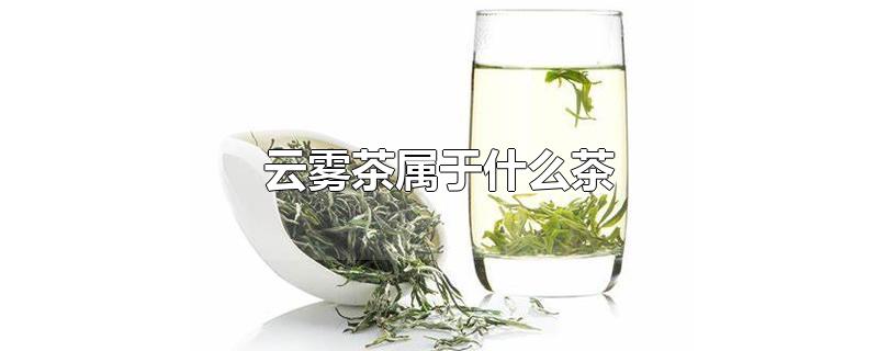 云雾茶属于什么茶
