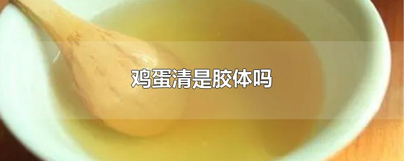 鸡蛋清是胶体吗