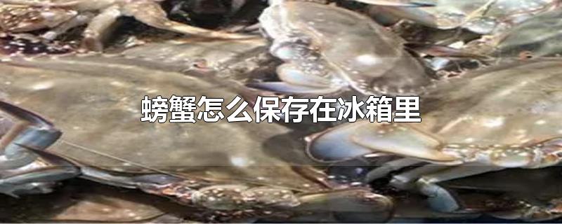 螃蟹怎么保存在冰箱里