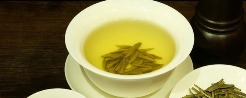 黄茶用什么茶具泡最好