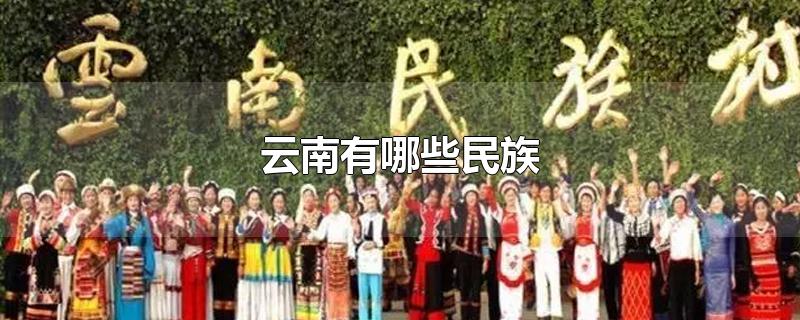 云南有哪些民族