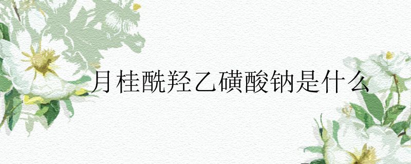 月桂酰羟乙磺酸钠是什么