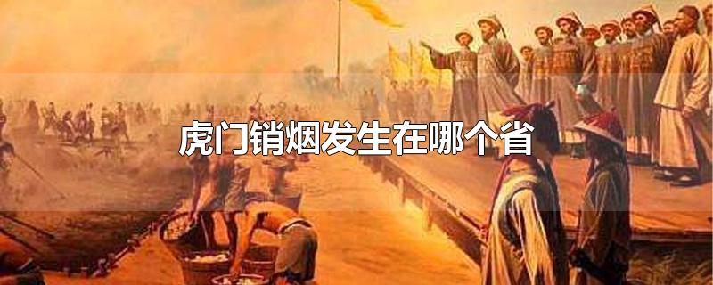 虎门销烟发生在哪个省