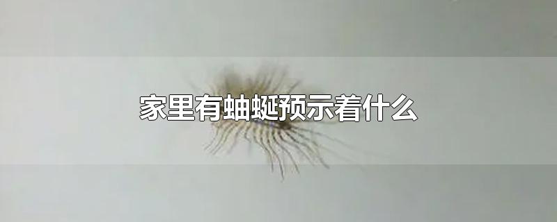 家里有蚰蜒预示着什么