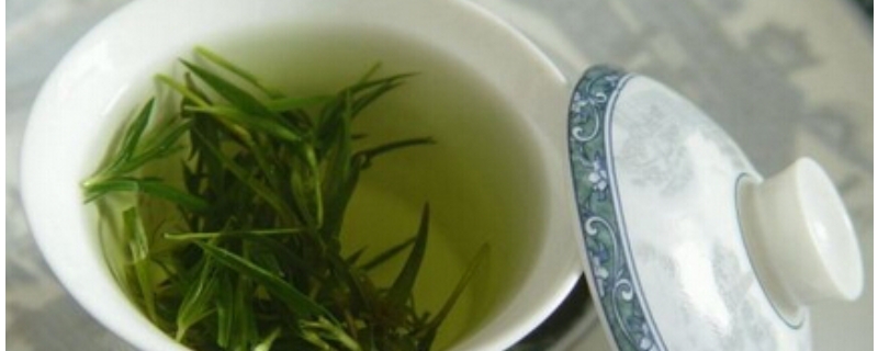 茶叶生长为什么要湿润多雨