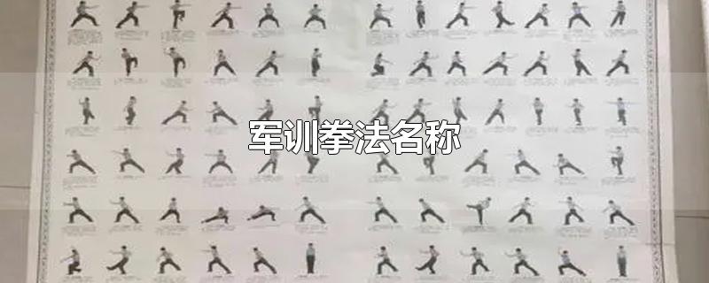 军训拳法名称