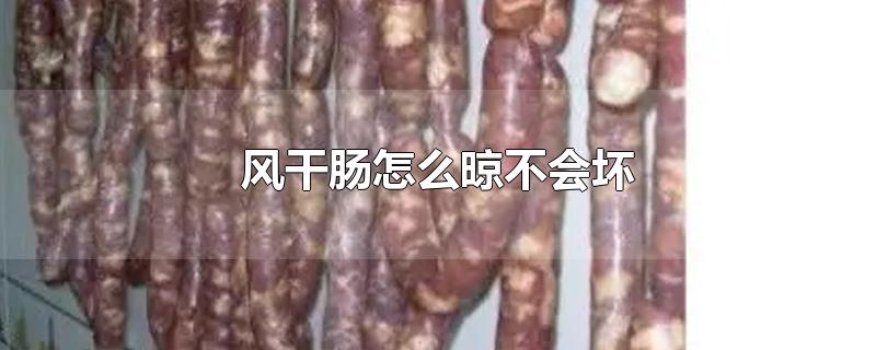 风干肠怎么晾不会坏