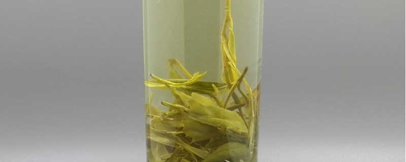 龙井是什么茶
