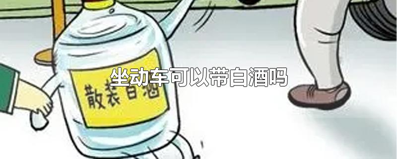 坐动车可以带白酒吗