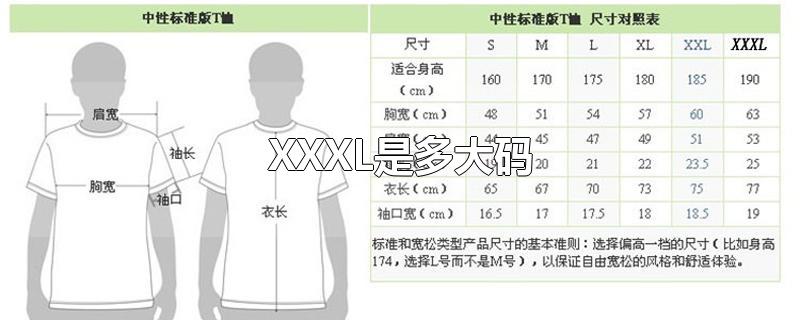 XXXL是多大码