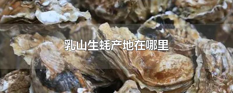 乳山生蚝产地在哪里