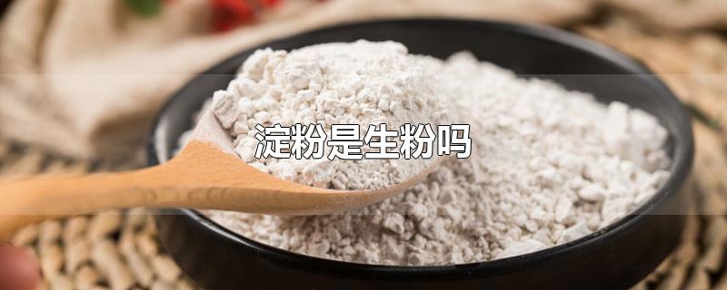 淀粉是生粉吗