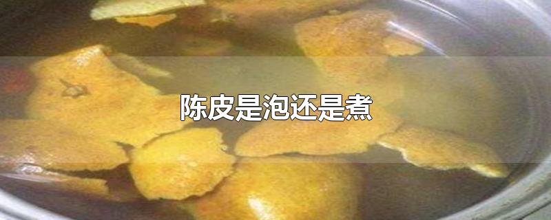 陈皮是泡还是煮