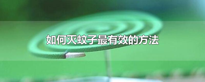 如何灭蚊子最有效的方法