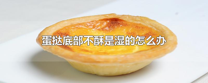 蛋挞底部不酥是湿的怎么办
