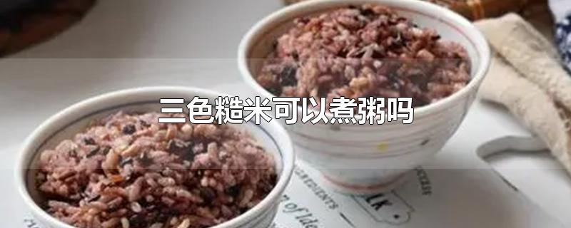 三色糙米可以煮粥吗