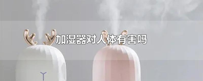 加湿器对人体有害吗