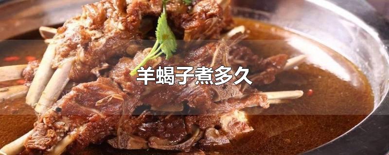羊蝎子煮多久