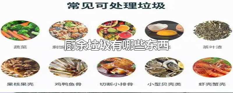 厨余垃圾有哪些东西