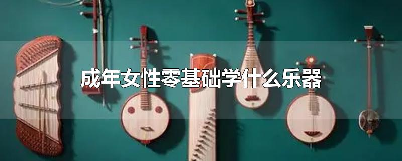 成年女性零基础学什么乐器