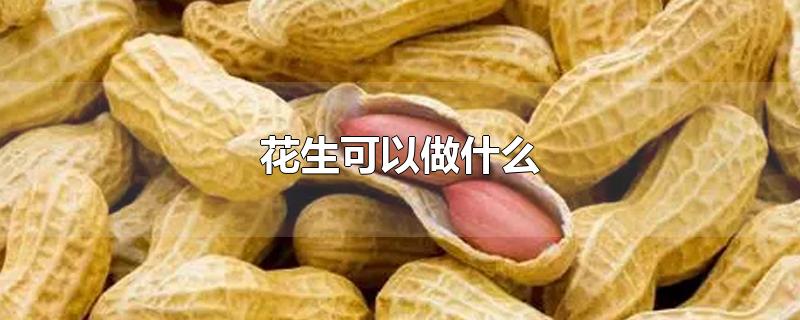 花生可以做什么