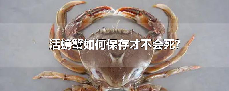 活螃蟹如何保存才不会死?