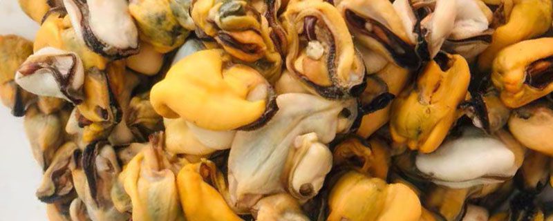 蛏子直接冷冻还是煮熟冷藏