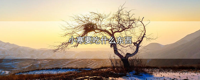 小寒要吃什么东西