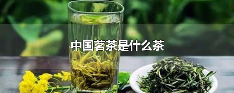 中国茗茶是什么茶