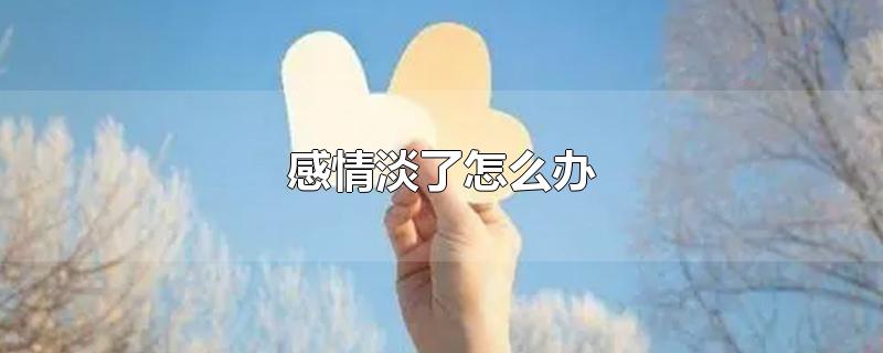 感情淡了怎么办