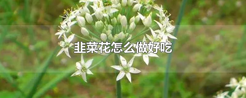 韭菜花怎么做好吃