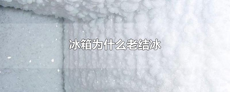 冰箱为什么老结冰