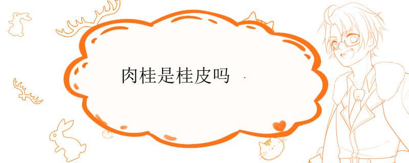 肉桂是桂皮吗