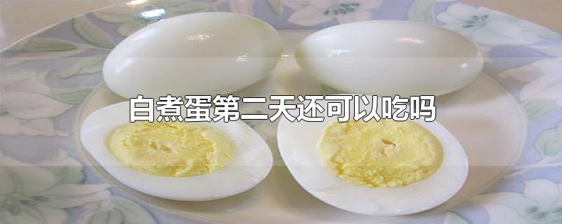 白煮蛋第二天还可以吃吗