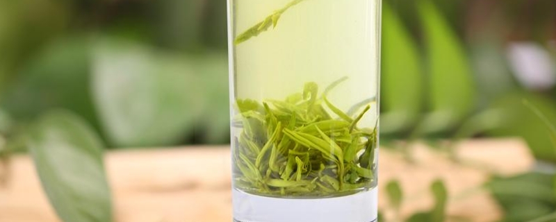 属于绿茶的茶叶都有什么茶