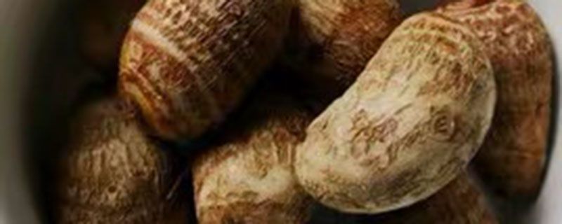香芋怎么保存不易烂掉