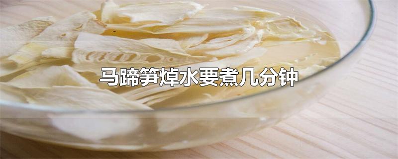 马蹄笋焯水要煮几分钟