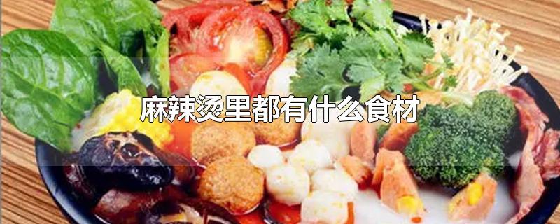麻辣烫里都有什么食材