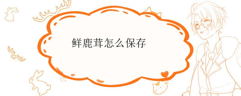 鲜鹿茸怎么保存